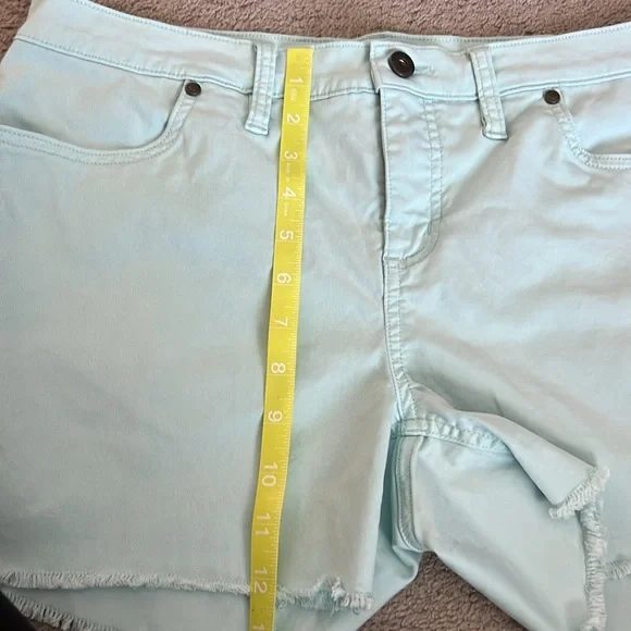 CARVE DESIGNS Shorts blue light weight size 10 - Picture 5 of 5